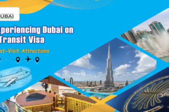 Experience Dubai on transit Visa