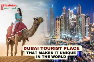 Dubai Turist Place That makes unique in the world